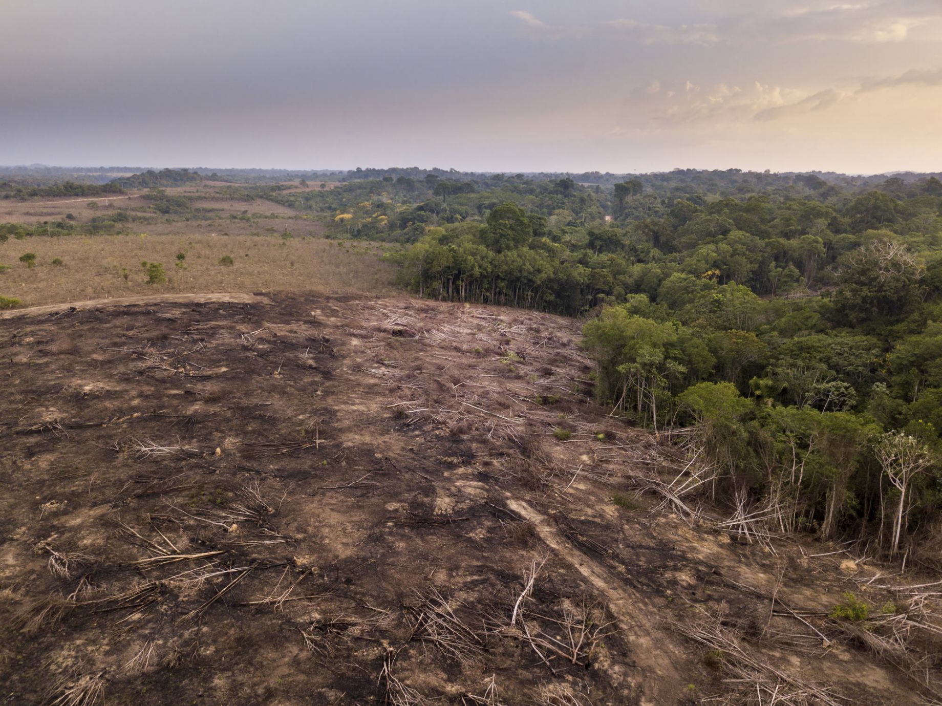 land clearing-Greenbrier, Tennessee-excavation
