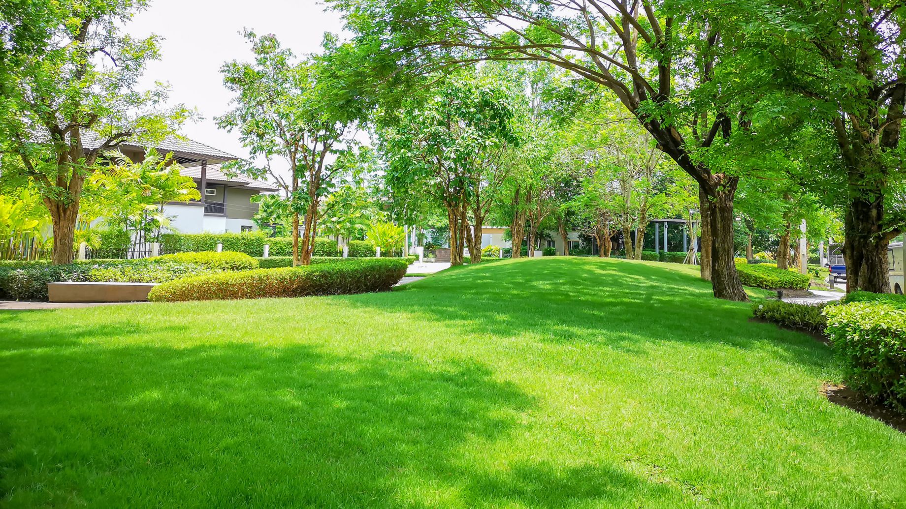 Clarksville premium lawn care service and landscaping Tennessee