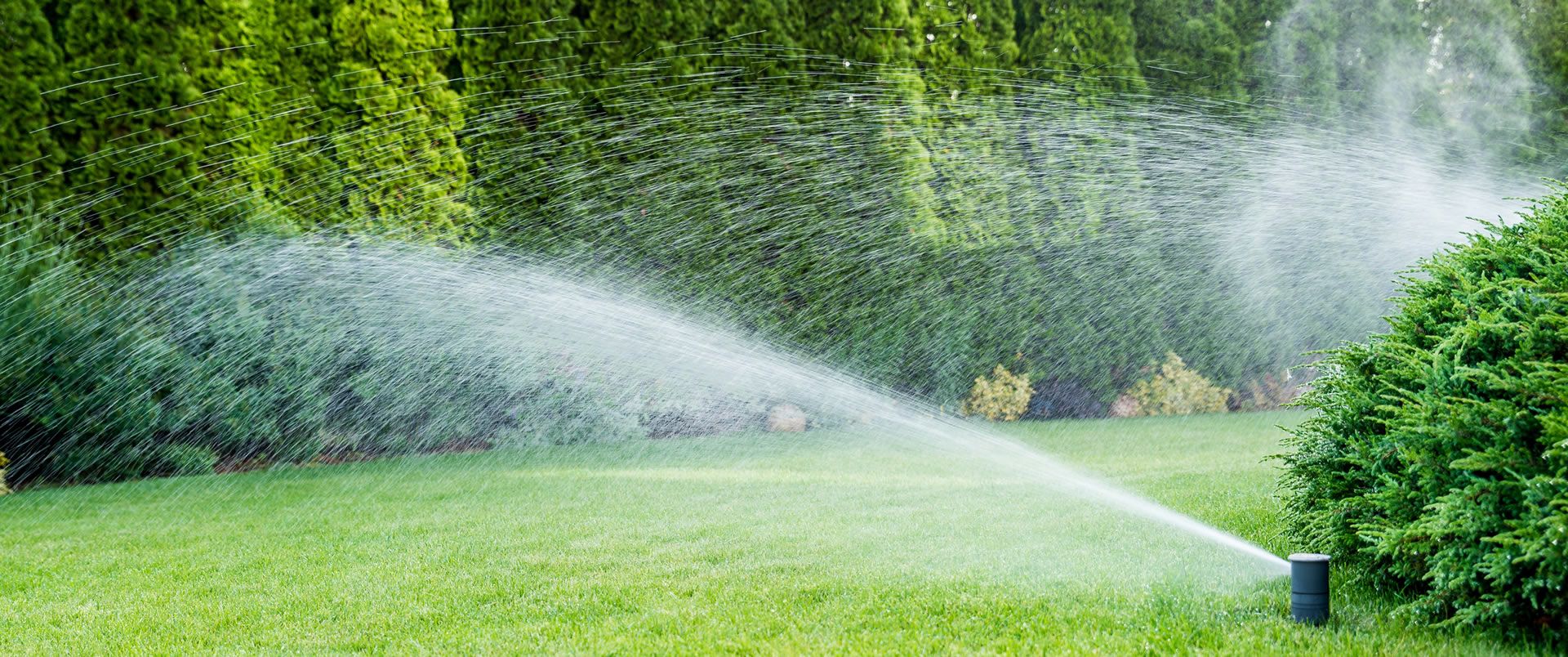 Lawn Care Services - Clarksville, TN